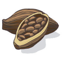 Cacao