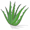 blancreme-_aloe-vera-1-130x130.png